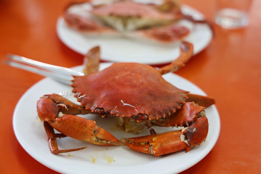 新北市貢寮區貢竂海鮮 | 卯澳海洋驛站 超人氣海鮮店擁有百位停車場