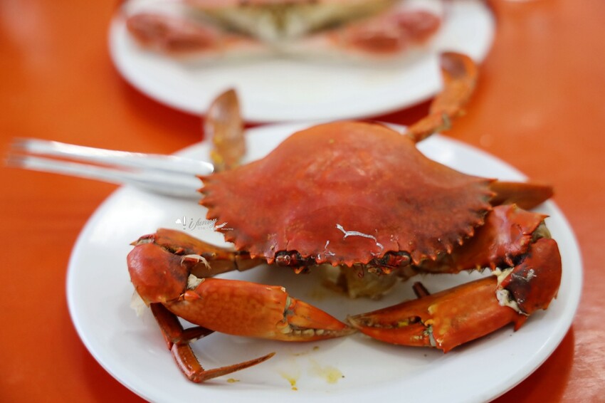 新北市貢寮區貢竂海鮮 | 卯澳海洋驛站 超人氣海鮮店擁有百位停車場