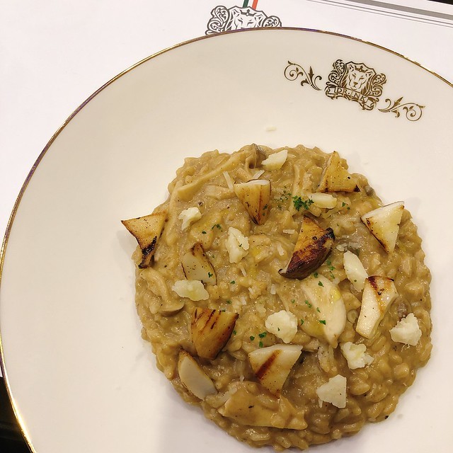 20181111_192359-1924372