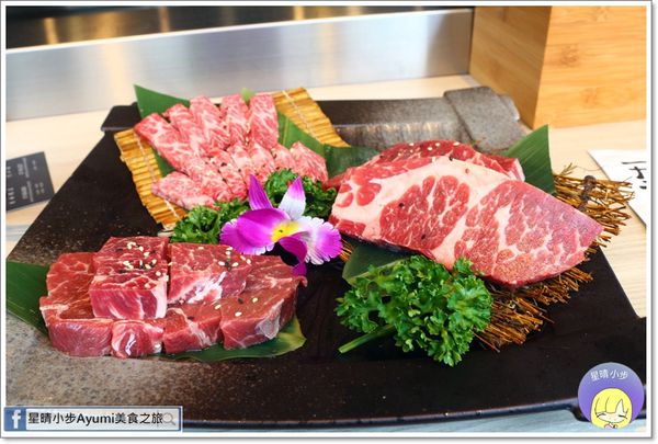 IMG_9746.JPG IMG_9746.JPG