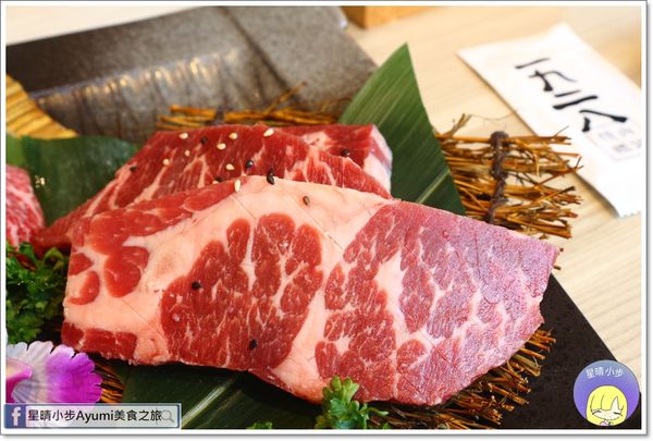 IMG_9748.JPG IMG_9748.JPG