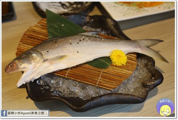 IMG_9836.JPG IMG_9836.JPG