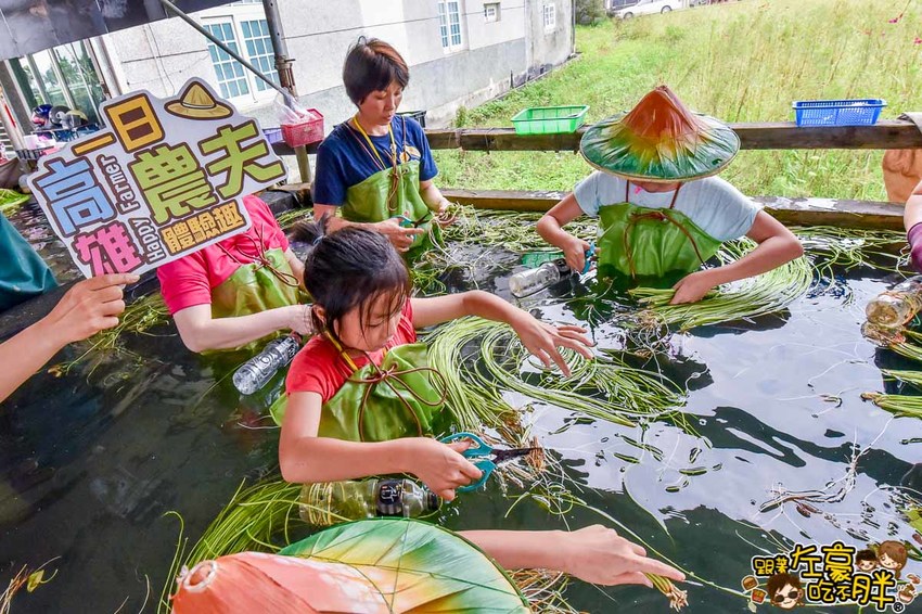 高雄一日農夫趣-美濃李氏水蓮-24