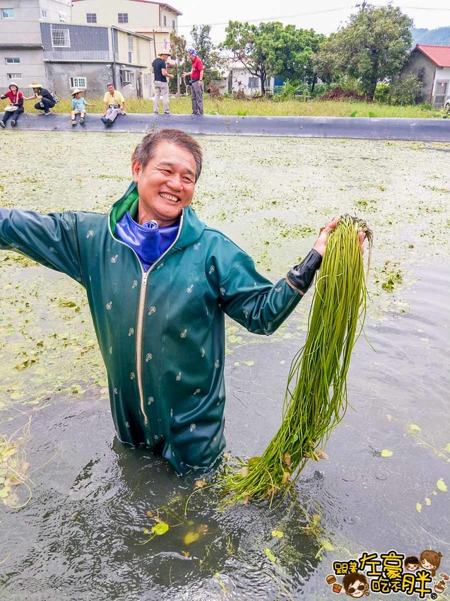 高雄一日農夫趣-美濃李氏水蓮-7