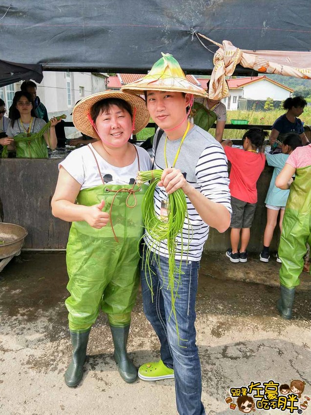 高雄一日農夫趣-美濃李氏水蓮-2