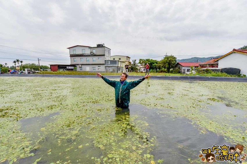 高雄一日農夫趣-美濃李氏水蓮-14