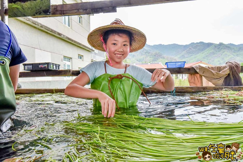 高雄一日農夫趣-美濃李氏水蓮-21