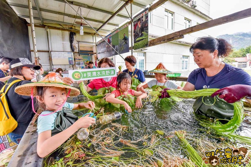 高雄一日農夫趣-美濃李氏水蓮-25