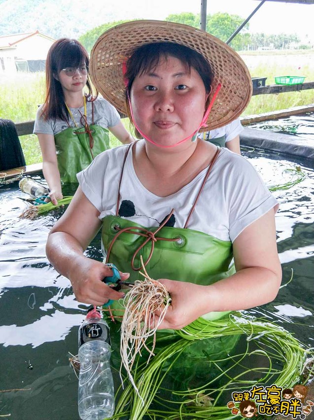 高雄一日農夫趣-美濃李氏水蓮-4