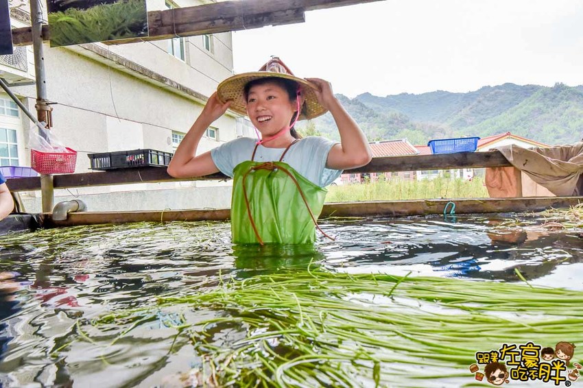 高雄一日農夫趣-美濃李氏水蓮-20
