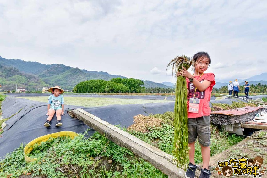高雄一日農夫趣-美濃李氏水蓮-16