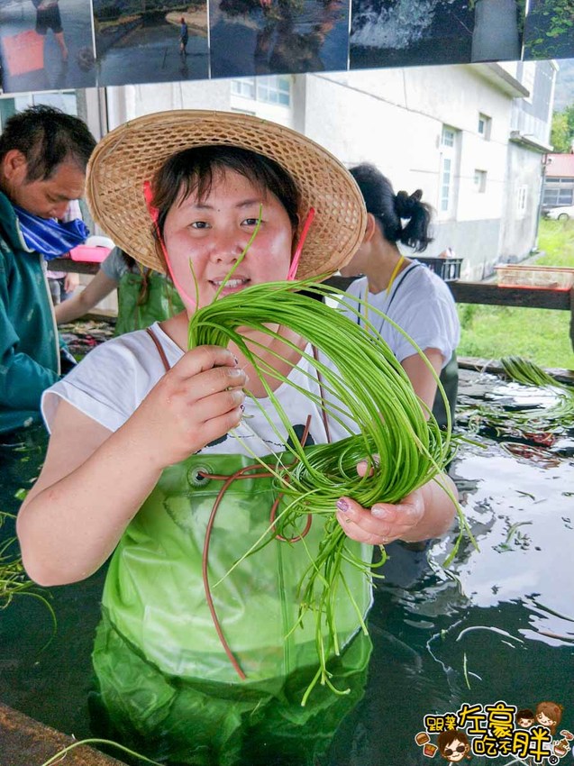 高雄一日農夫趣-美濃李氏水蓮-3