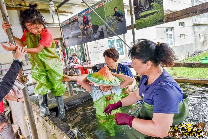 高雄一日農夫趣-美濃李氏水蓮-19