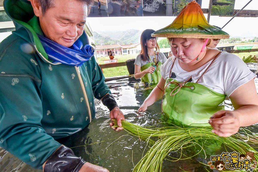 高雄一日農夫趣-美濃李氏水蓮-27