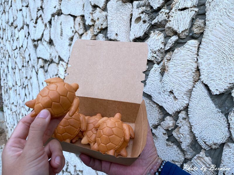 澎湖龜鮮奶雞蛋糕~可愛爆表的澎湖龜怎麼捨得入口 @Bernice的隨手筆記