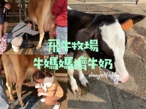 新東南海鮮餐廳 松山店│超新鮮的海鮮饗宴。台北美食 - 丹尼的吃喝玩樂