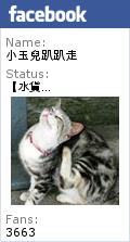 【北海道脆皮甜甜圈】月熱銷6000顆現炸脆皮甜甜圈排隊名店，還有鹹甜口味的多拿滋 &【吉龍糖】黑糖珍珠厚奶，手炒黑糖製作