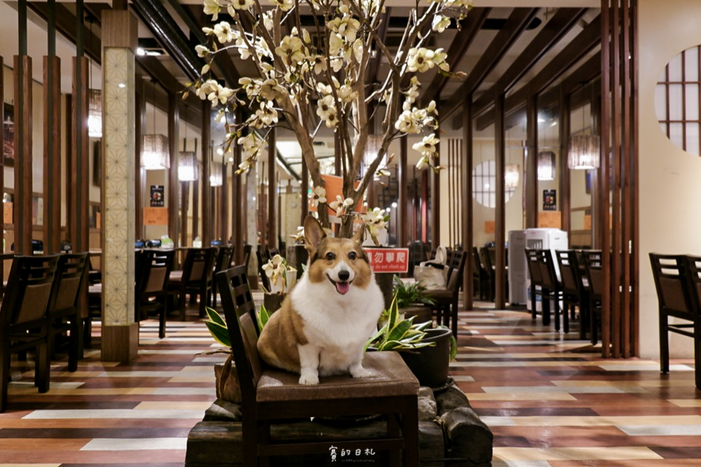 台中豐原美食 韓國烤肉吃到飽 糕糕在尚韓式料理 豐原店 台中吃到飽 賽的日札-47.png 台中豐原美食 韓國烤肉吃到飽 糕糕在尚韓式料理 豐原店 台中吃到飽 賽的日札-47.png