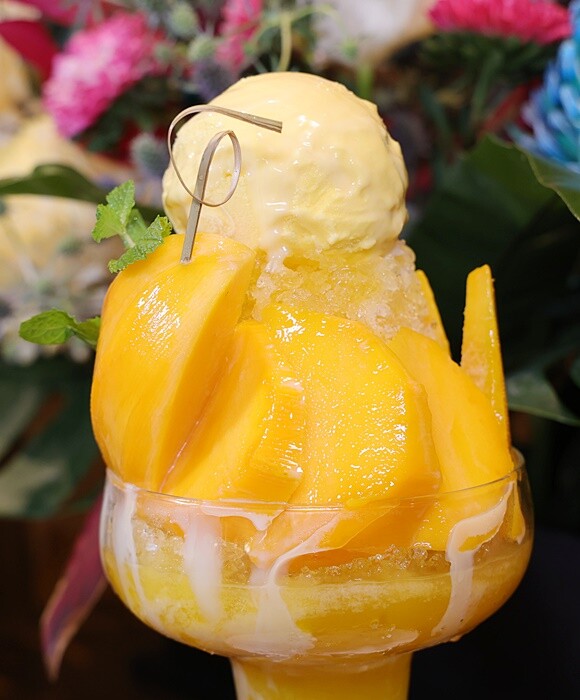 有春茶館｜超浮誇芒果冰開賣囉！還有不少新菜上市，必點糖醋燻鱸魚、青花椒牛小排板條、椒鹽鴨頭鴨翅，聚餐