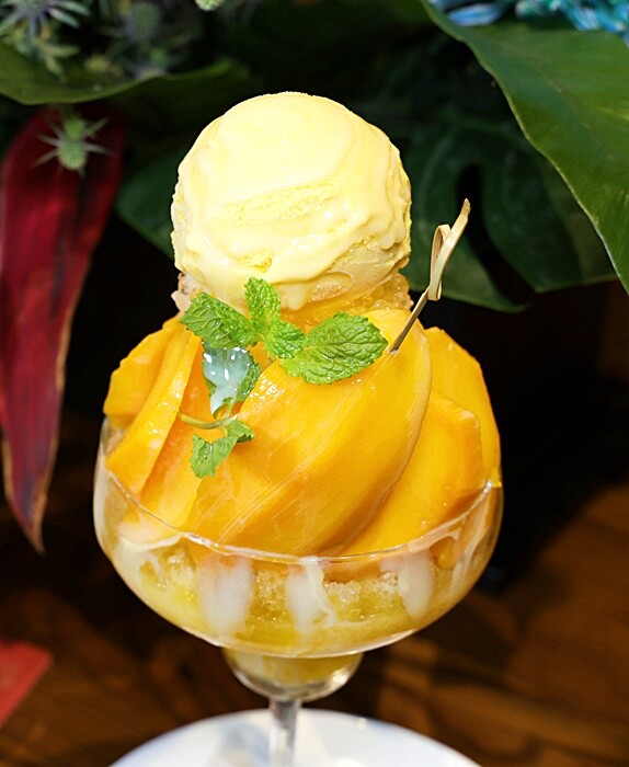 有春茶館｜超浮誇芒果冰開賣囉！還有不少新菜上市，必點糖醋燻鱸魚、青花椒牛小排板條、椒鹽鴨頭鴨翅，聚餐