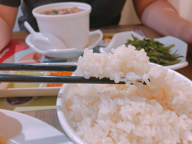 星島海南雞飯,海南雞飯,咖哩,肉骨茶,松山區美食,我不是他媽媽,慈惠宮,薑黃飯,港式奶茶,雞油飯,松山站美食,松山站平價美食,沙嗲,舒肥海南雞