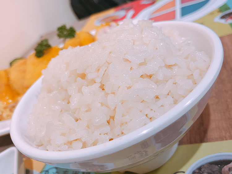 星島海南雞飯,海南雞飯,咖哩,肉骨茶,松山區美食,我不是他媽媽,慈惠宮,薑黃飯,港式奶茶,雞油飯,松山站美食,松山站平價美食,沙嗲,舒肥海南雞