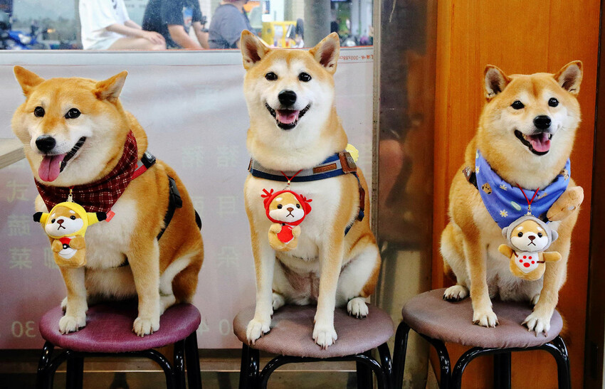 空軍三重一村附近餐廳，美鳳滷味，非凡大探索採訪過的三重美食，