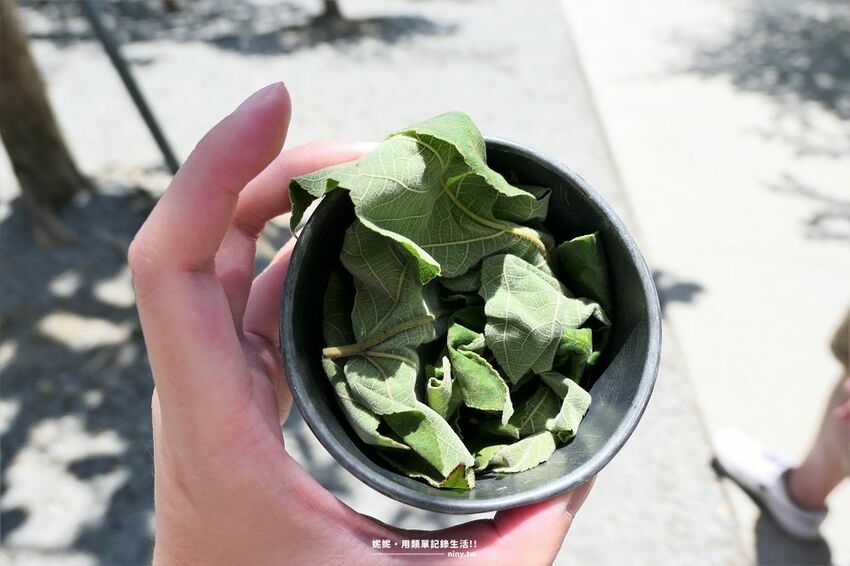 旅遊。屏東★南臺灣的小奈良 鹿境梅花鹿生態園區 拎著牧草來餵鹿 - 妮妮˙ˇ˙用類單記錄生活!!