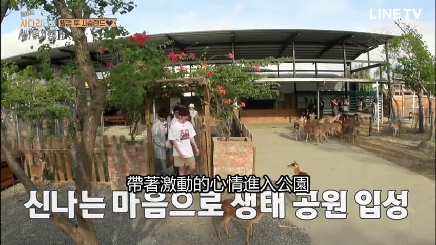 旅遊。屏東★南臺灣的小奈良 鹿境梅花鹿生態園區 拎著牧草來餵鹿 - 妮妮˙ˇ˙用類單記錄生活!!