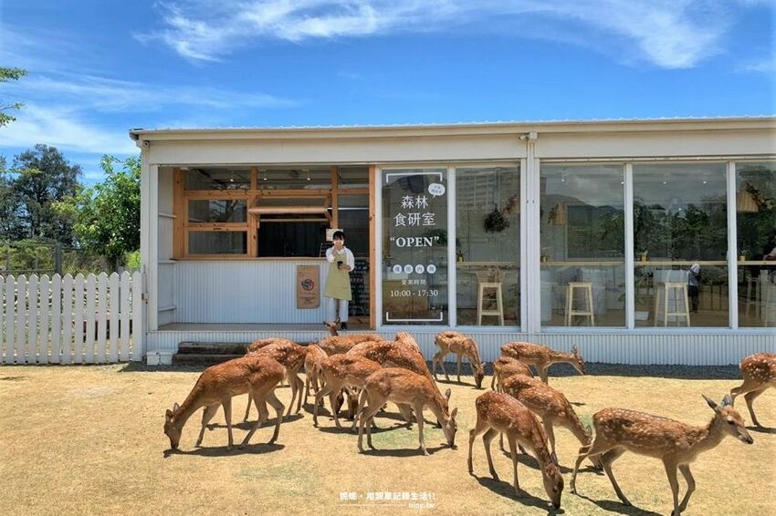 旅遊。屏東★南臺灣的小奈良 鹿境梅花鹿生態園區 拎著牧草來餵鹿 - 妮妮˙ˇ˙用類單記錄生活!!