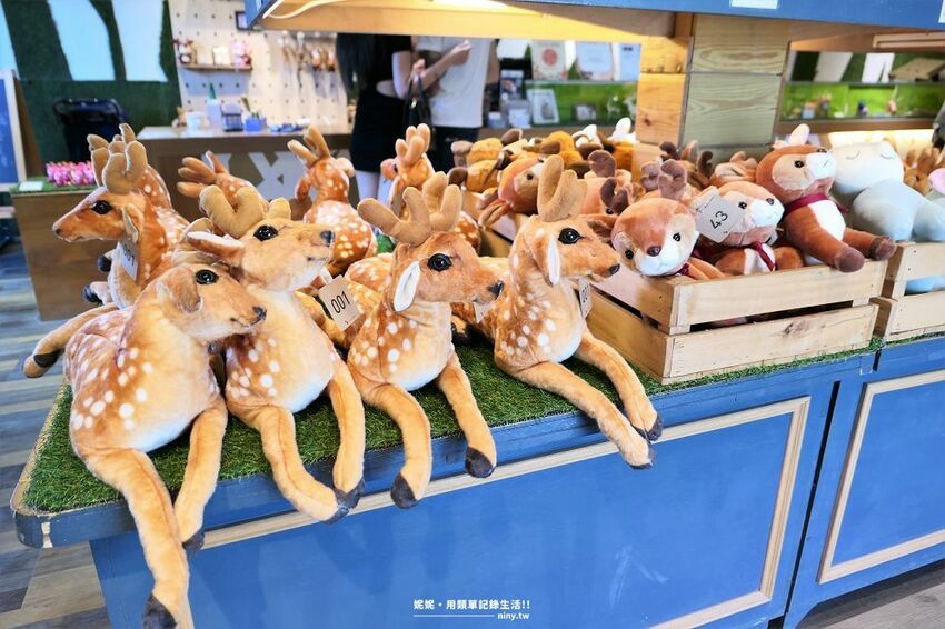 旅遊。屏東★南臺灣的小奈良 鹿境梅花鹿生態園區 拎著牧草來餵鹿 - 妮妮˙ˇ˙用類單記錄生活!!