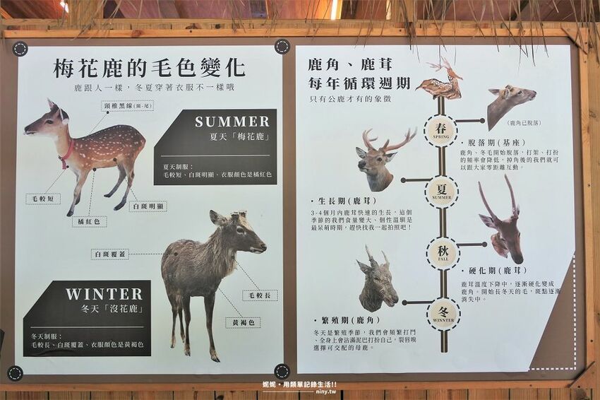 旅遊。屏東★南臺灣的小奈良 鹿境梅花鹿生態園區 拎著牧草來餵鹿 - 妮妮˙ˇ˙用類單記錄生活!!