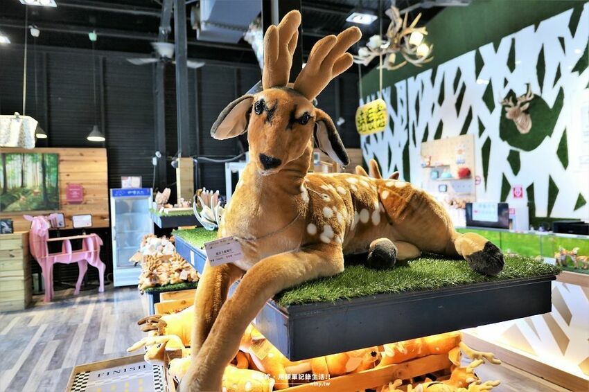 旅遊。屏東★南臺灣的小奈良 鹿境梅花鹿生態園區 拎著牧草來餵鹿 - 妮妮˙ˇ˙用類單記錄生活!!