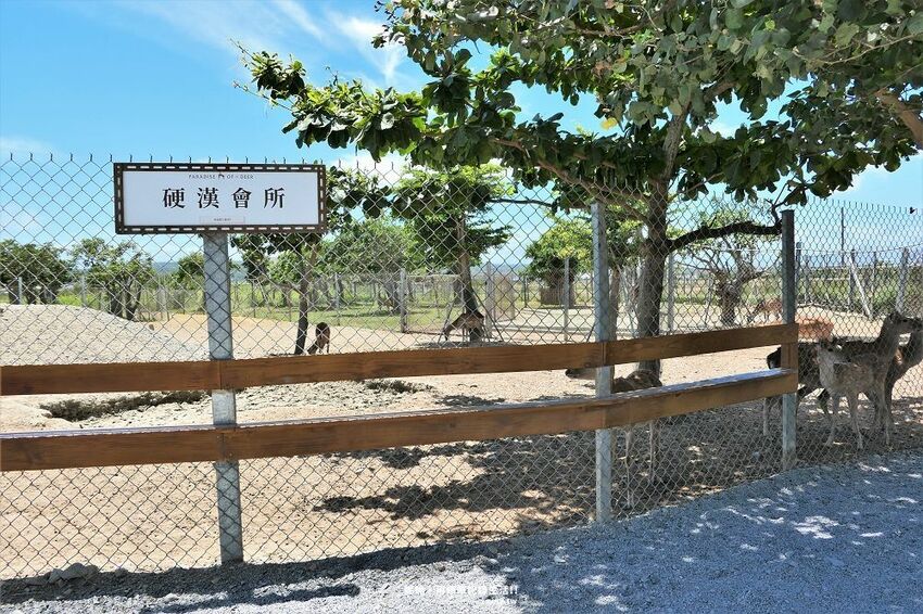 旅遊。屏東★南臺灣的小奈良 鹿境梅花鹿生態園區 拎著牧草來餵鹿 - 妮妮˙ˇ˙用類單記錄生活!!