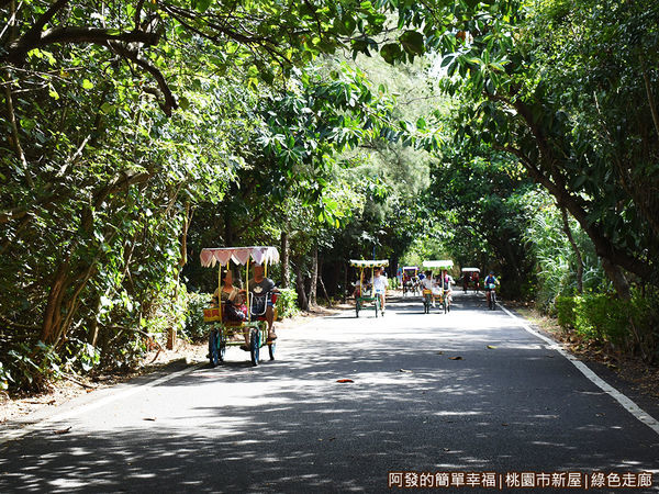 新屋綠色走廊15-綠樹成蔭的綠色隧道.JPG