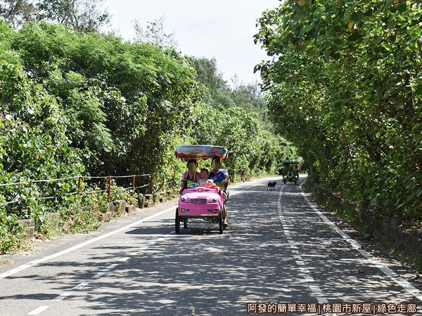 新屋綠色走廊13-接著是幾百公尺長的堤防道路.JPG