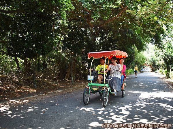 新屋綠色走廊08-身處其中果真感受到在綠蔭大道御風而行的快感.JPG