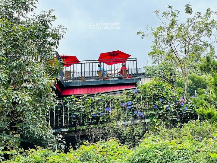 生態、景觀、餐飲與窯烤披薩DIY🍕。農場最高處的咖啡館,九芎湖照咖雅品 @魚兒 x 牽手明太子的「視」界旅行