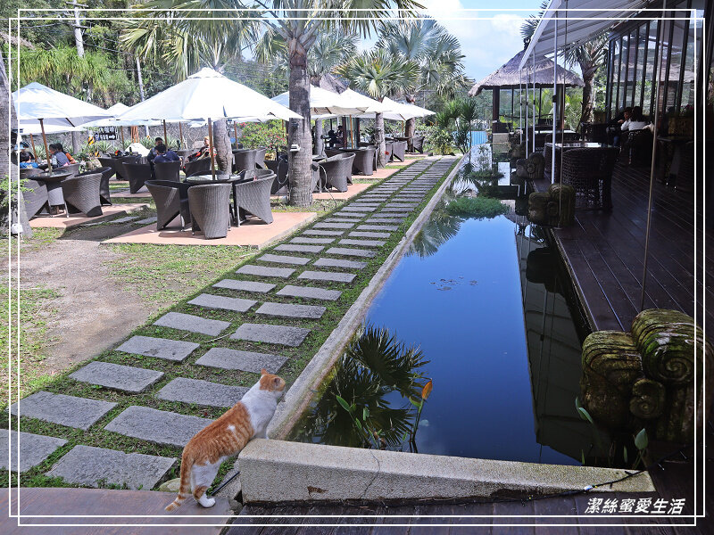 竹東莫內咖啡-南洋渡假風~咖啡x餐食x下午茶.新竹景觀約會餐廳