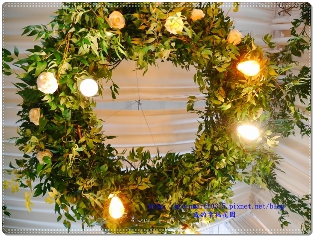 P9240459 (620x465).jpg