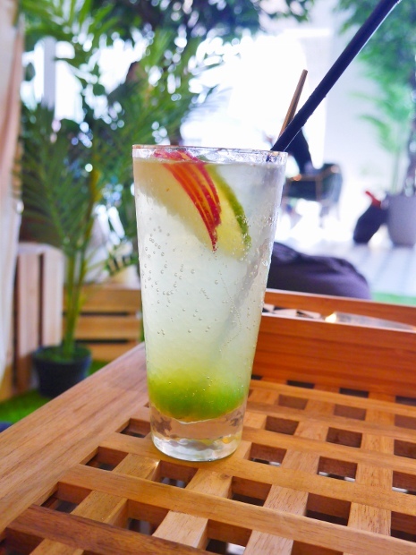 P9240456 (465x620).jpg