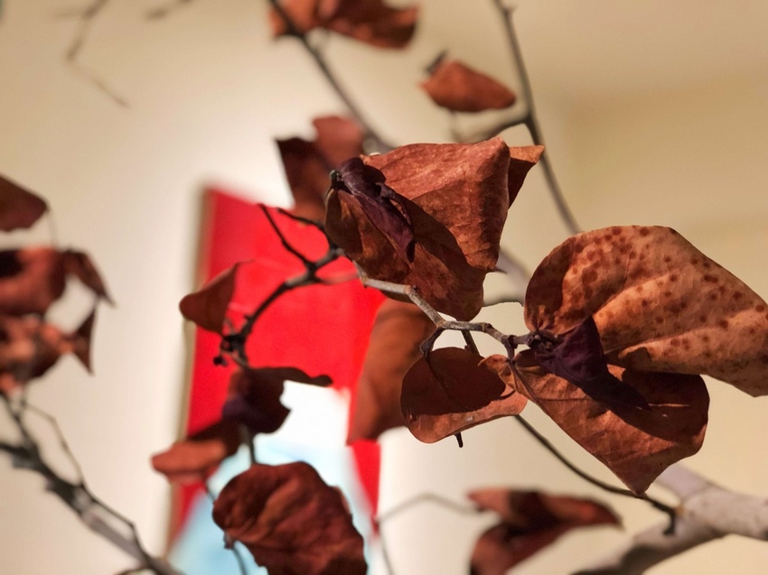 【台中北區】Overture序曲 散策65☞在愜意的午後揭開序幕,一起享受甜點們在口中彈奏神秘多變的樂章吧!