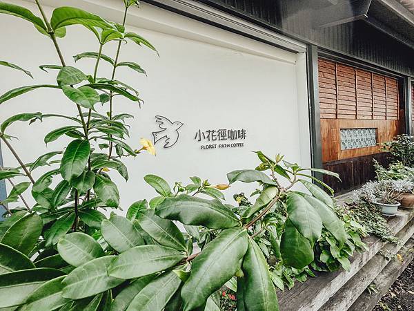 IMG_3105.JPG IMG_3105.JPG