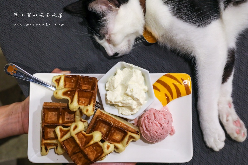  @陳小可的吃喝玩樂