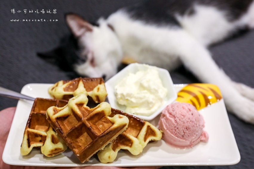  @陳小可的吃喝玩樂