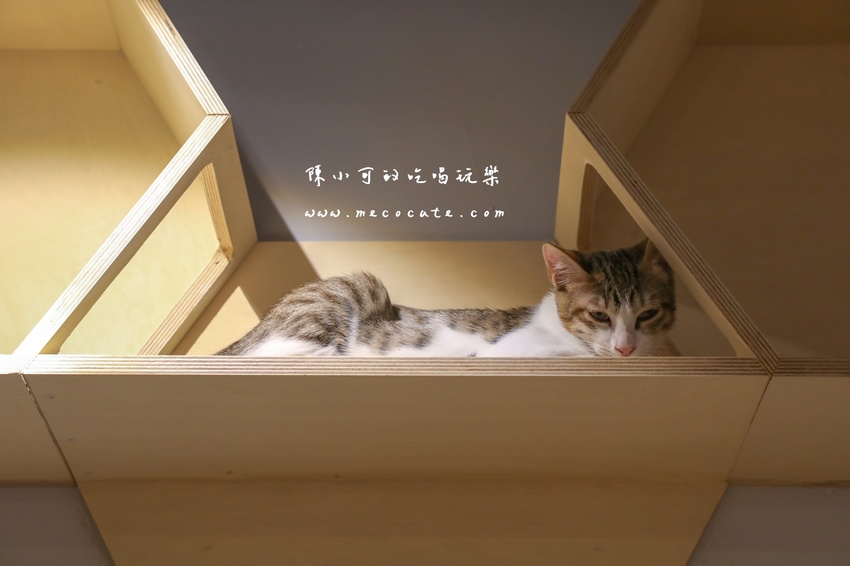  @陳小可的吃喝玩樂