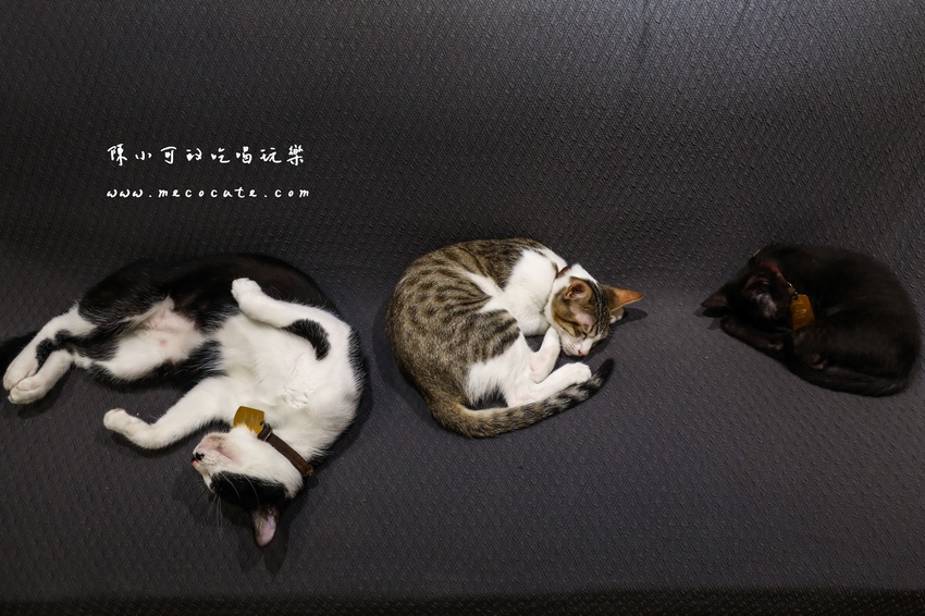  @陳小可的吃喝玩樂