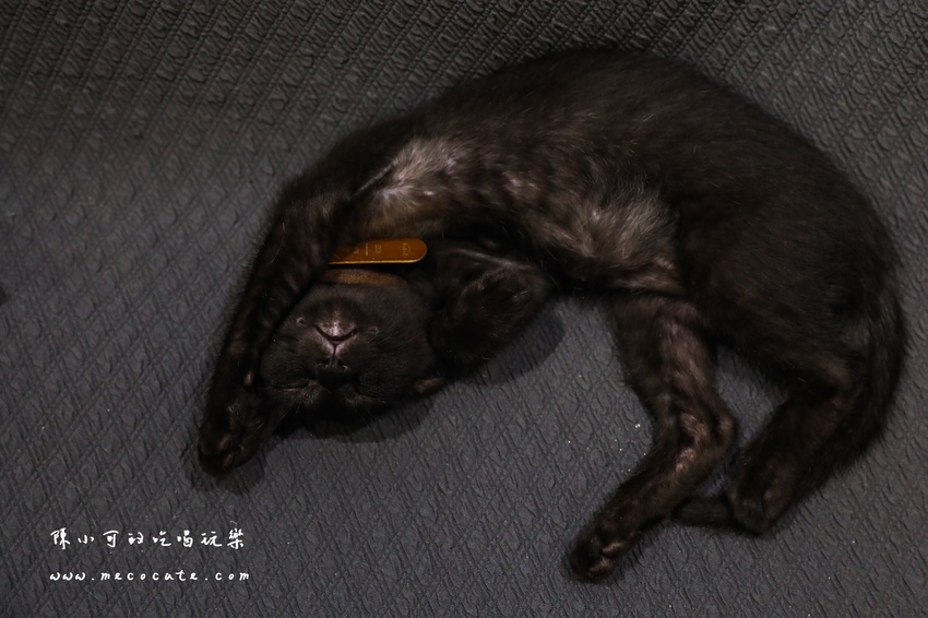  @陳小可的吃喝玩樂