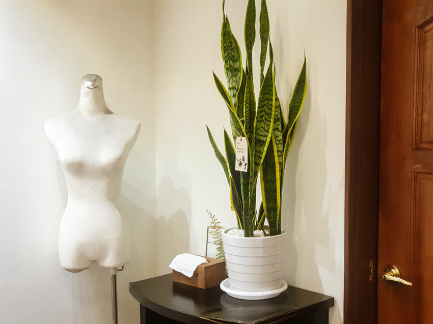 source: imgur.com 台南美食||1958老洋房-60年老洋房裡賣著南洋料理,超美的用餐環境很適合約會||北區、南洋料理