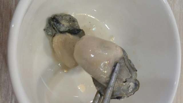 7084.jpg - 2019吃美食